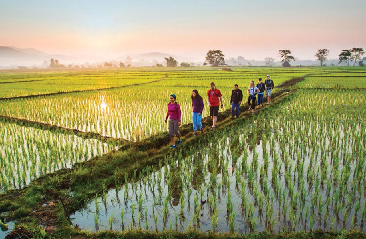 Goya Boutique Resort Убуд Екстер'єр фото Rice fields in Vietnam